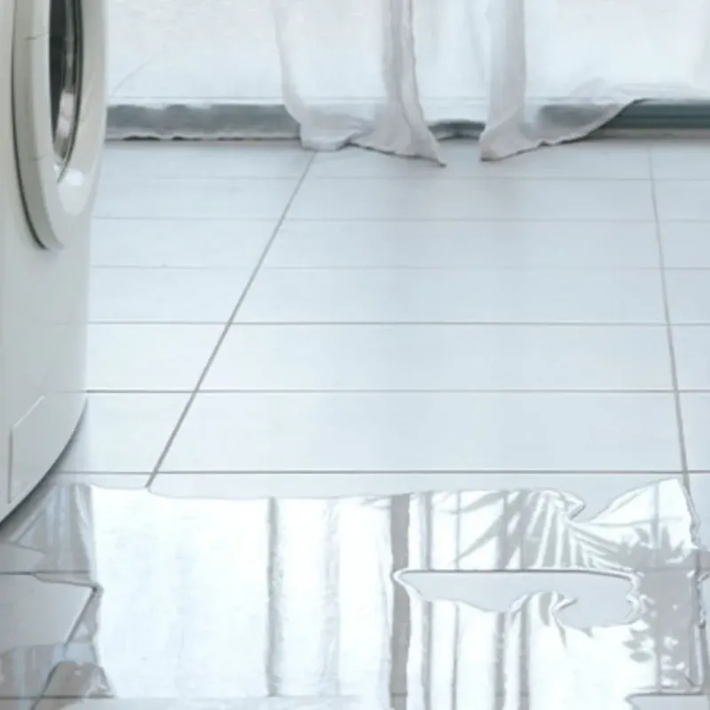 Appliance Leak Cleanup in Victoria, VA
