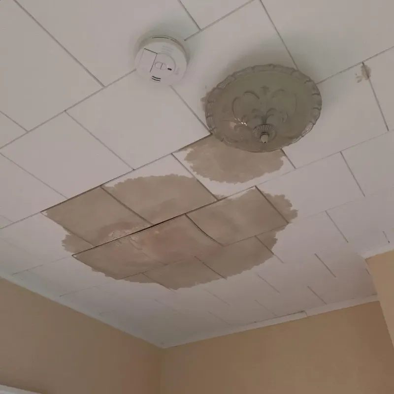 Ceiling Water Damage Repair in Victoria, VA