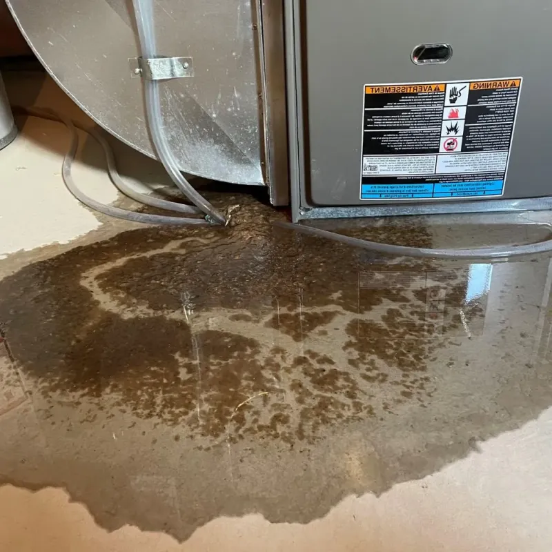Pipe Burst and Leak Restoration in Victoria, VA