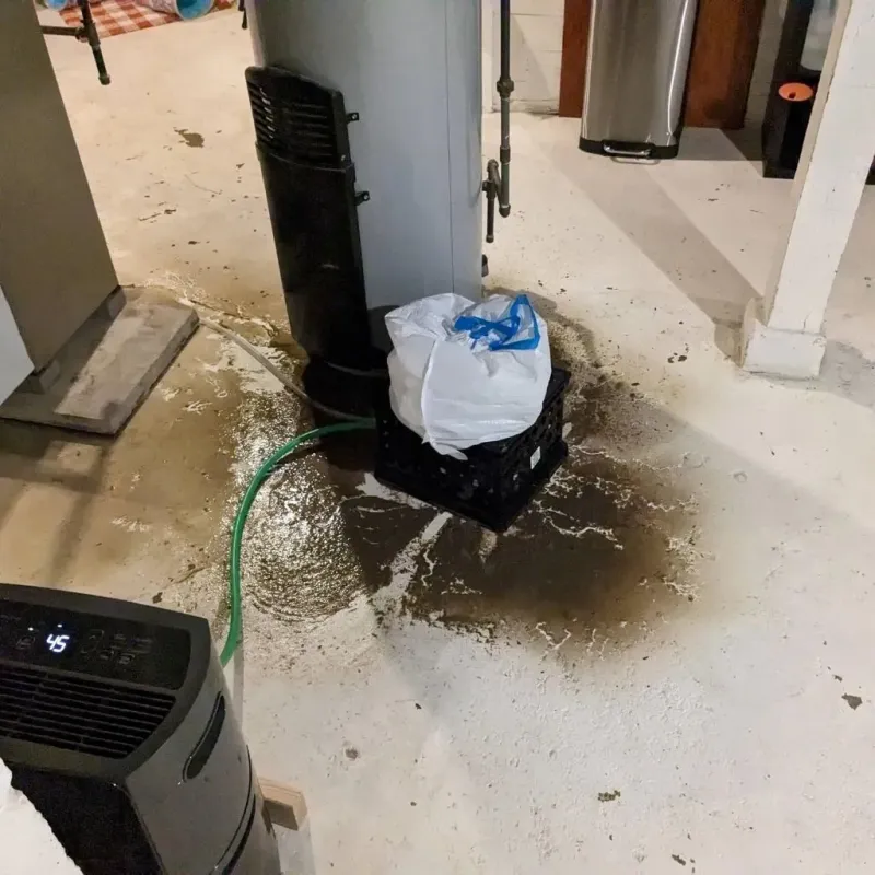 Sewage Backup Cleanup Service in Victoria, VA